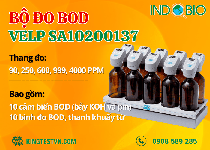 Thiết bị đo BOD 10 Velp SA10200137